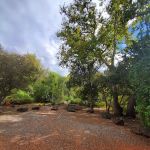 Lawrence Crossing Campground