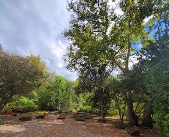 Lawrence Crossing Campground