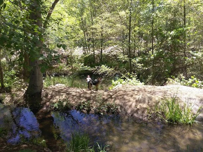 Lawrence Crossing Campground 6