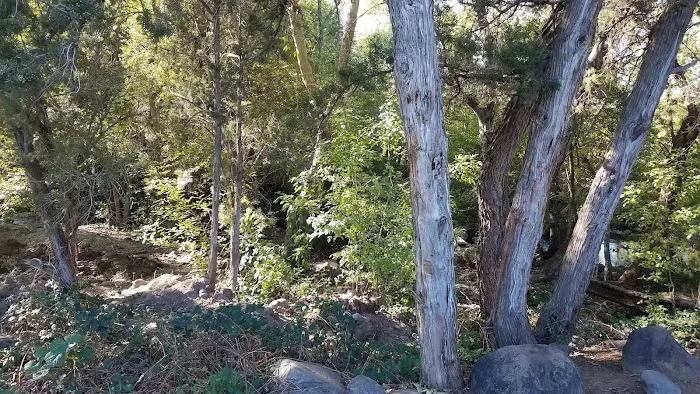 Lawrence Crossing Campground 5