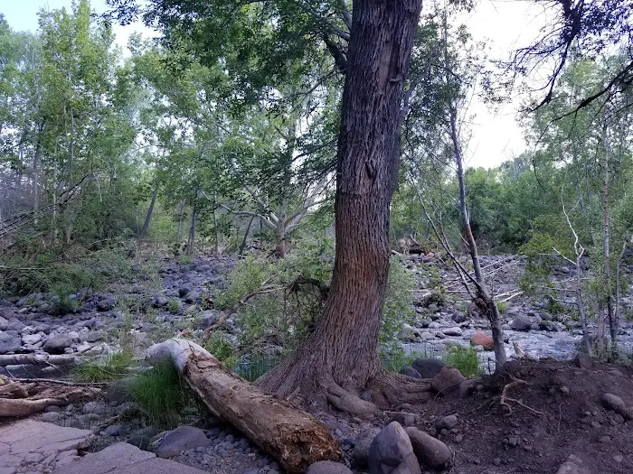 Lawrence Crossing Campground 2