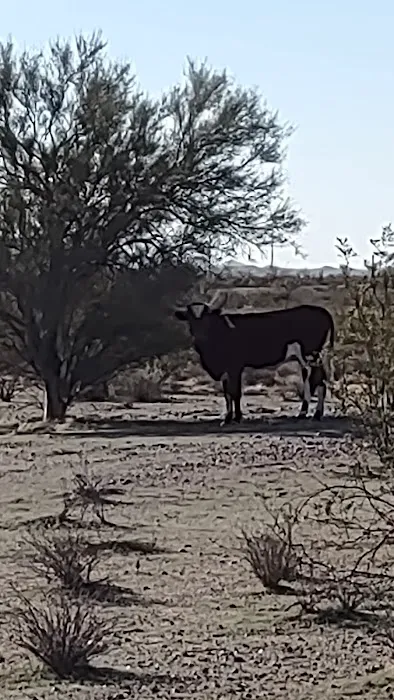 Wreck.it.Ranch 1