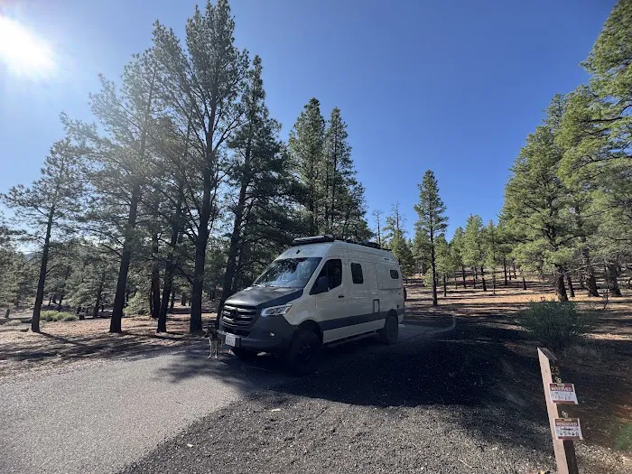Bonito Campground 1