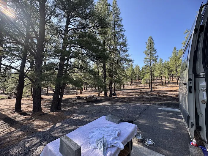 Bonito Campground 4