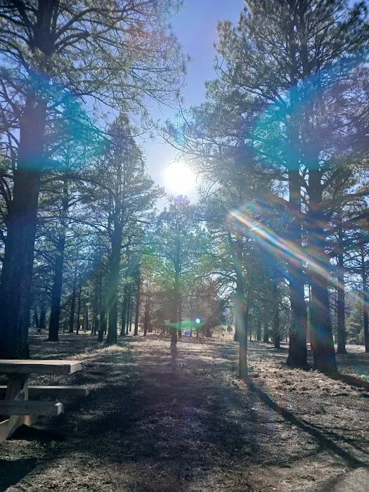 Bonito Campground 7