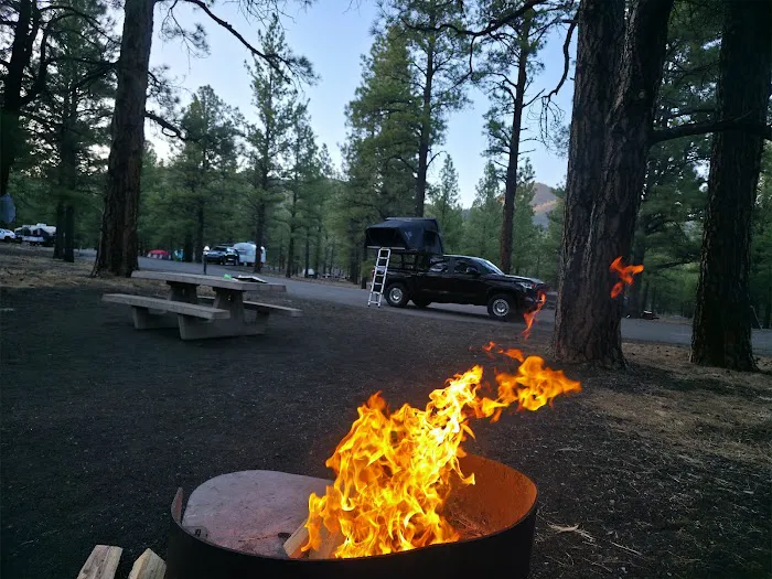 Bonito Campground 9