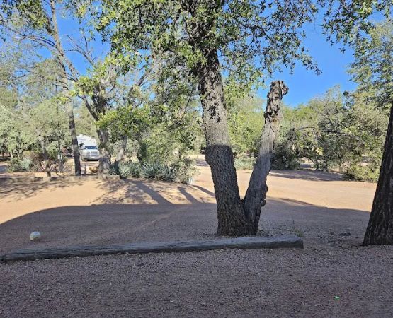 Payson Campground & RV Resort