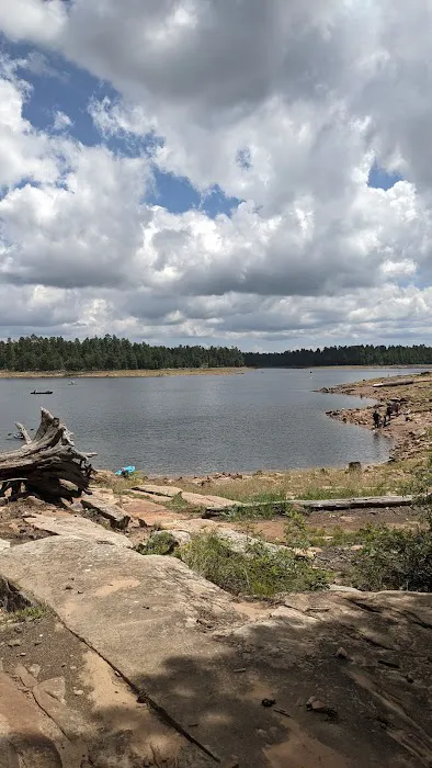 Ponderosa Campground 1