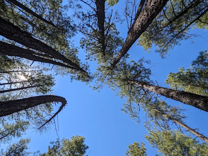 Ponderosa Campground 3