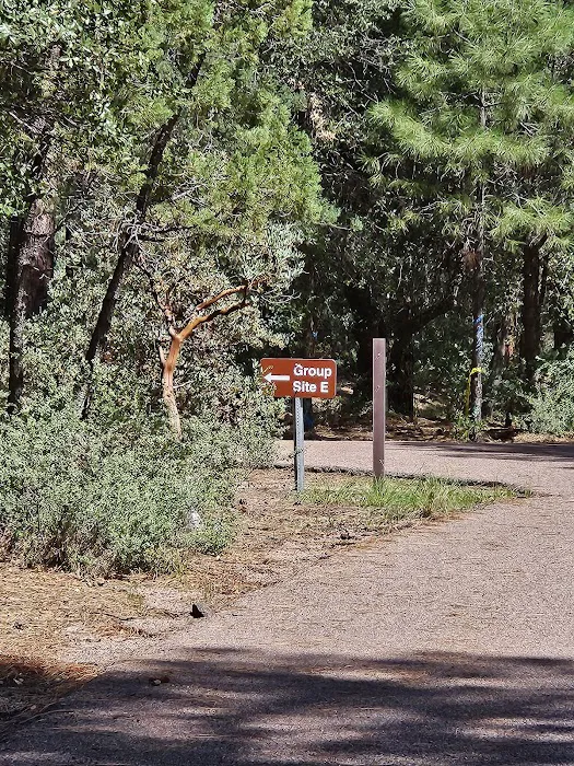 Ponderosa Campground 6