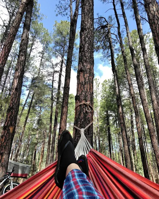 Ponderosa Campground 8