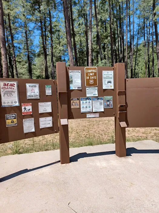 Lower Tonto Creek Campground 4