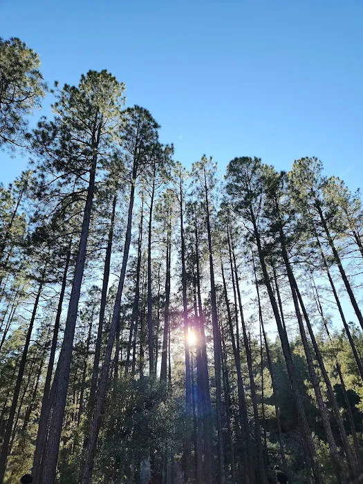 Lower Tonto Creek Campground 1