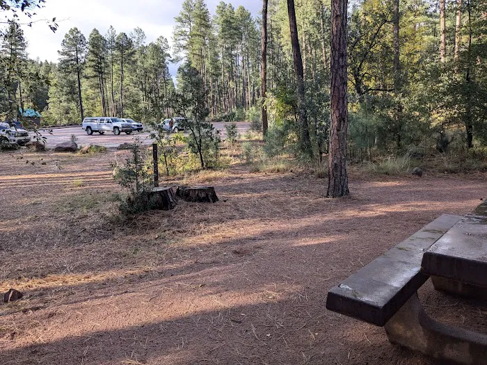 Lower Tonto Creek Campground 2