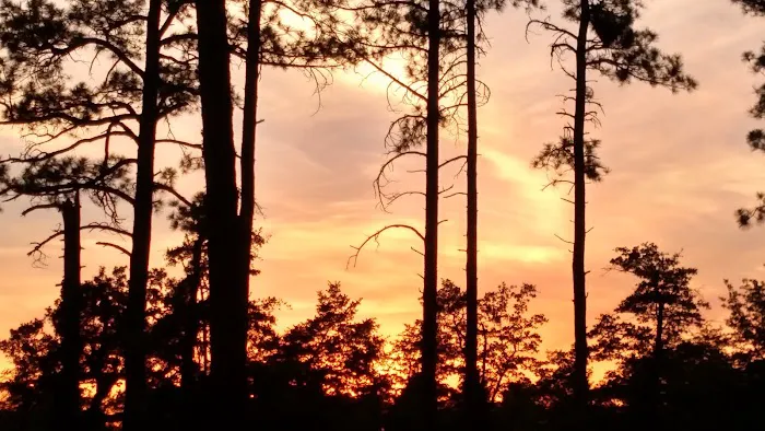 Lower Tonto Creek Campground 6