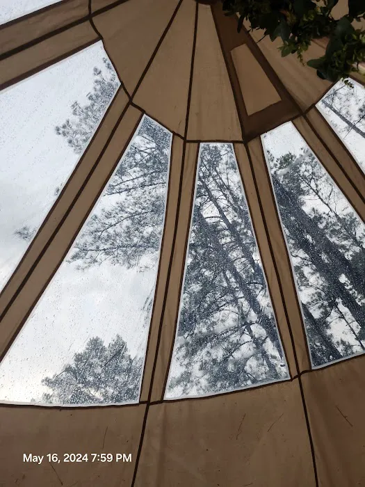 Wild Wood Haven 3