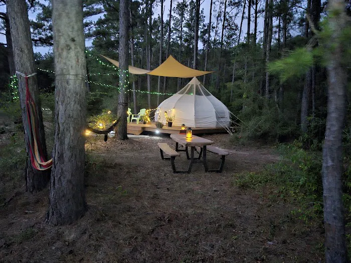 Wild Wood Haven 4