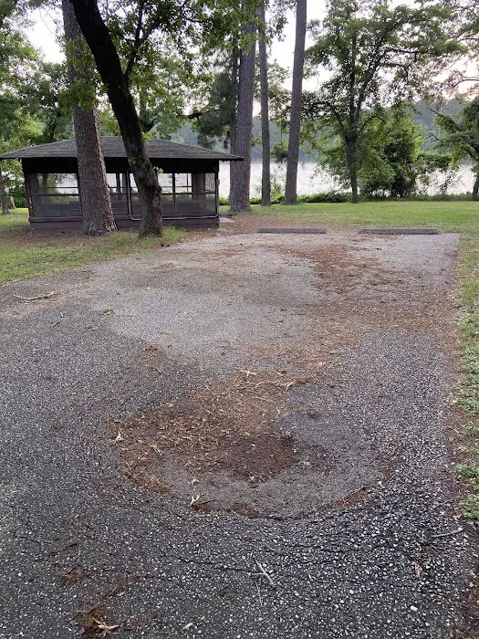 Campsite with Shelter #13 0