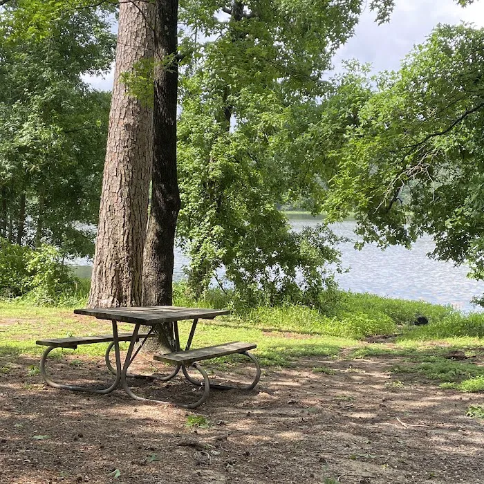 S13 Campsite with Shelter 3