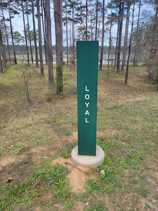 Camp Strake Campsite 19 7