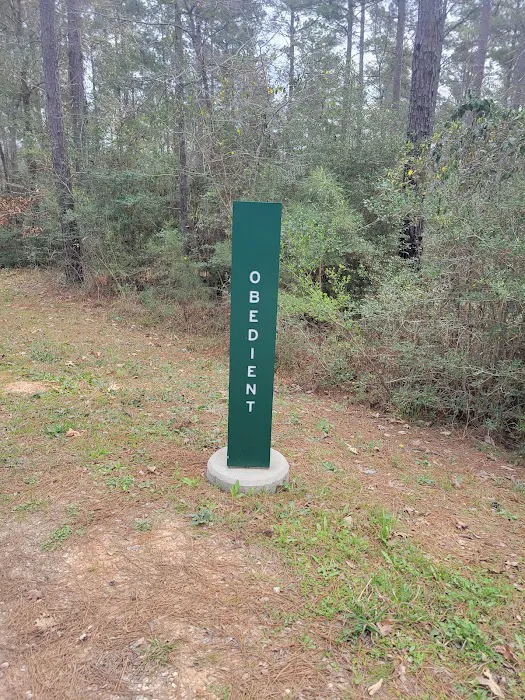Camp Strake Campsite 19 5