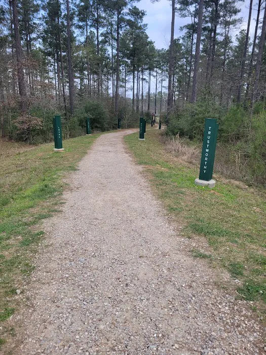 Camp Strake Campsite 19 3