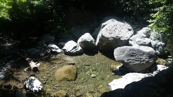 Spruce Campground 6