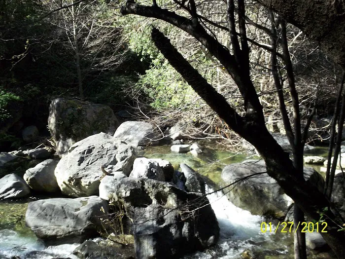 Spruce Campground 9