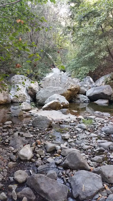 Spruce Campground 5