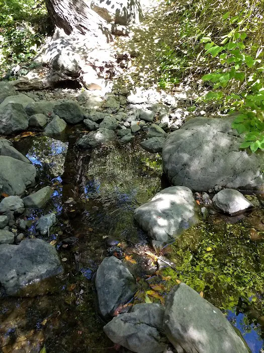 Spruce Campground 3