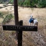 Buckeye Campground