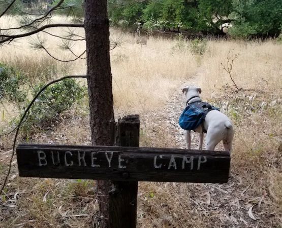 Buckeye Campground
