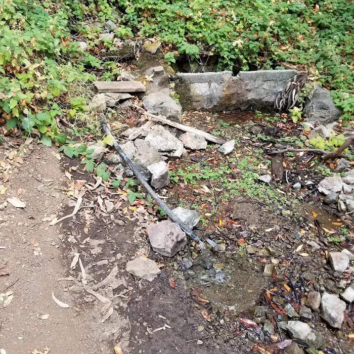 Buckeye Campground 4