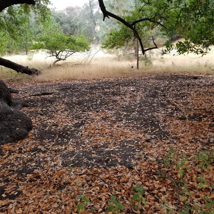 Buckeye Campground 6