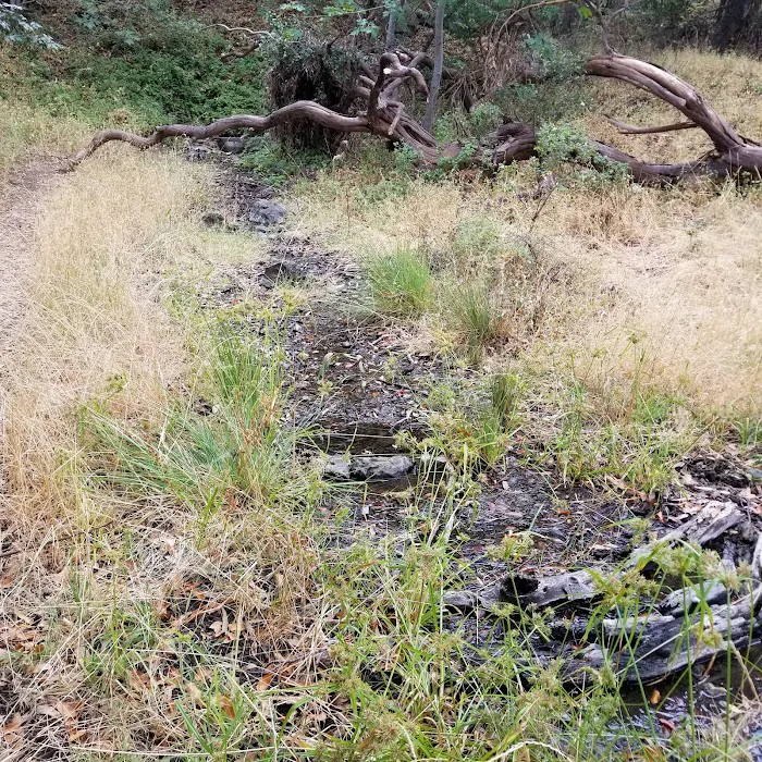 Buckeye Campground 2