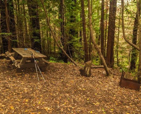 Lower Cruickshank Campground