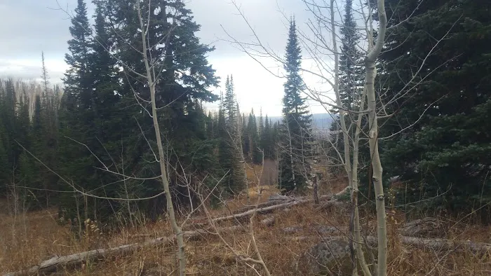 Freeman Reservoir Campground 5