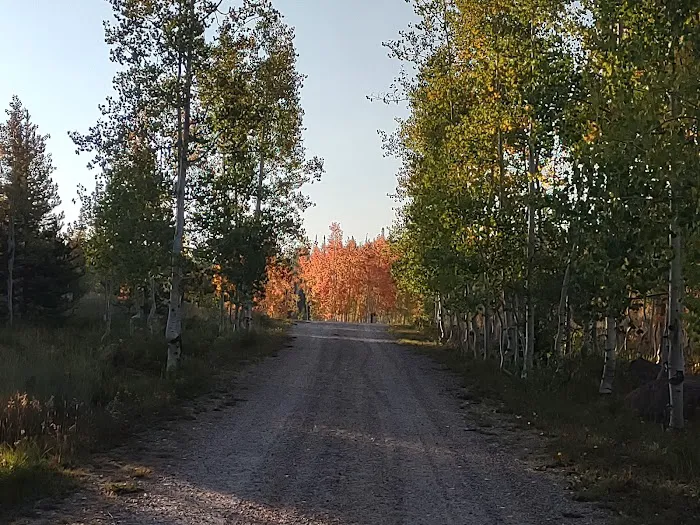 Freeman Reservoir Campground 1