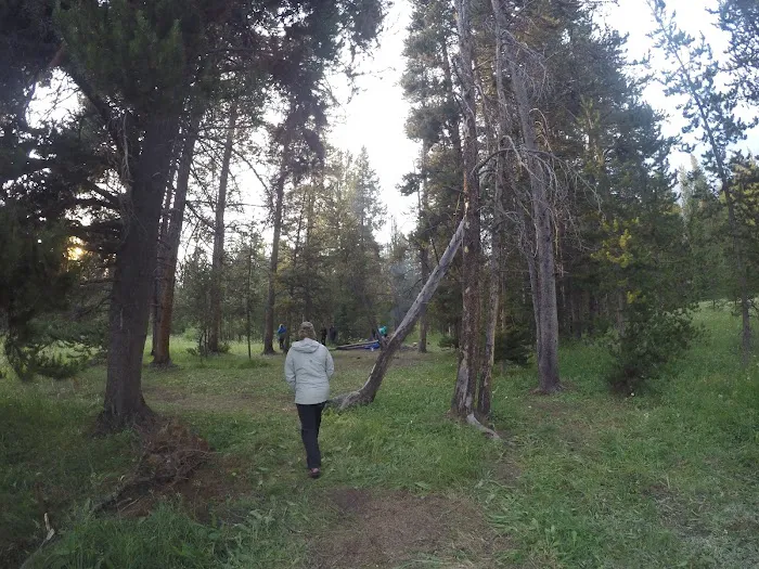 Beaverdam Meadow 1