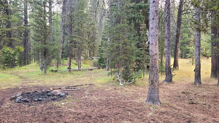 Beaverdam Meadow 3