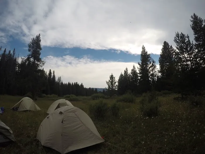Beaverdam Meadow 4