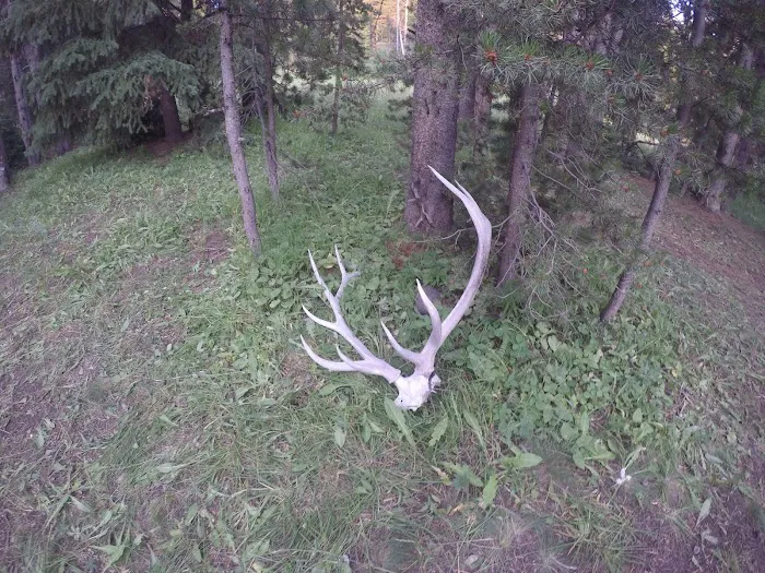 Beaverdam Meadow 5