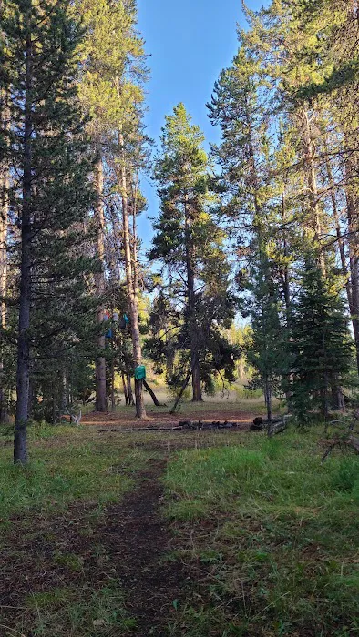 Beaverdam Meadow 7