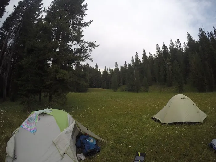 Beaverdam Meadow 2