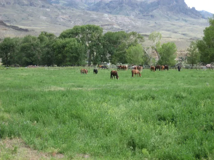 Homestead Campground 6