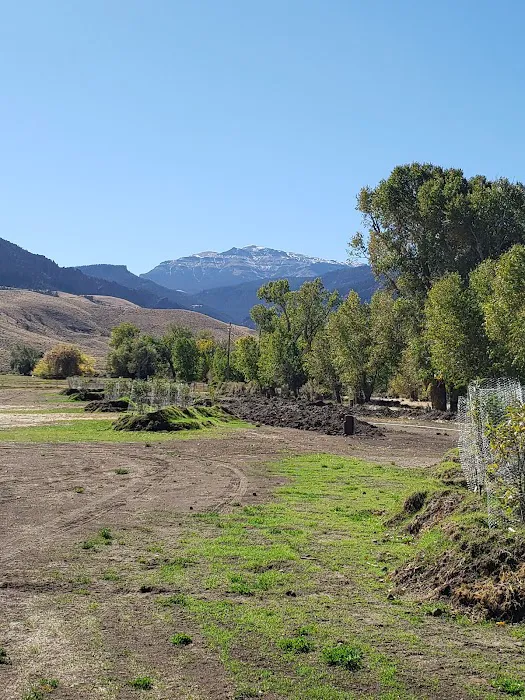 Homestead Campground 5