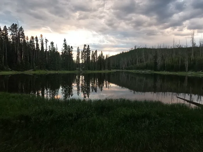 Wapiti Lake 0