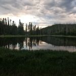 Wapiti Lake