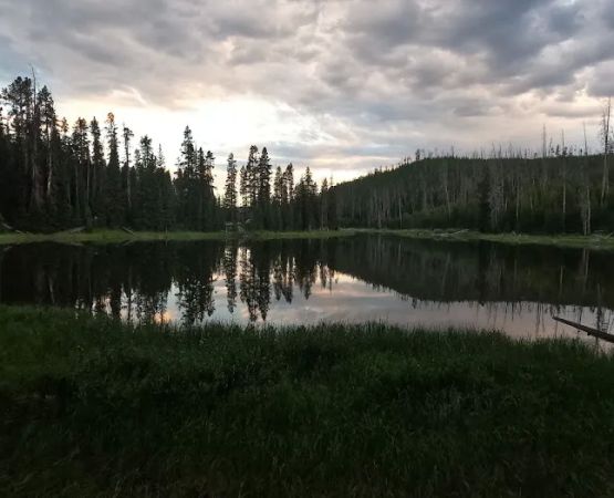 Wapiti Lake