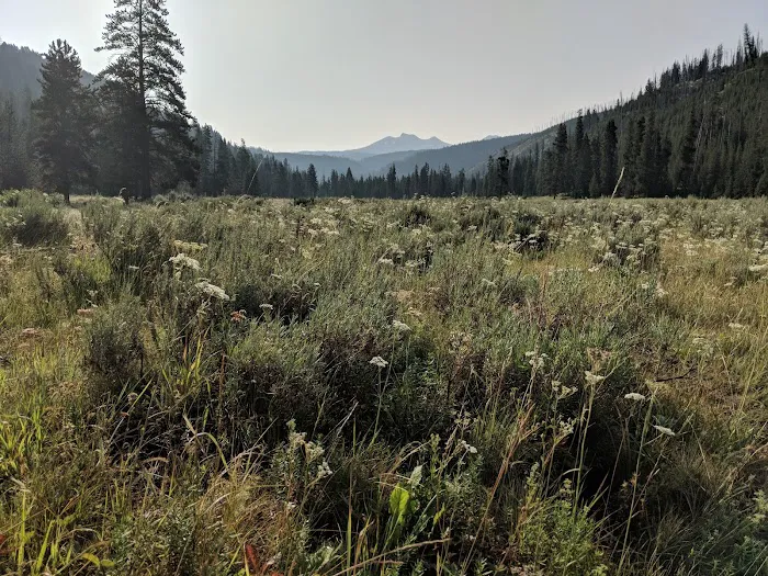 Appaloosa Meadows 1